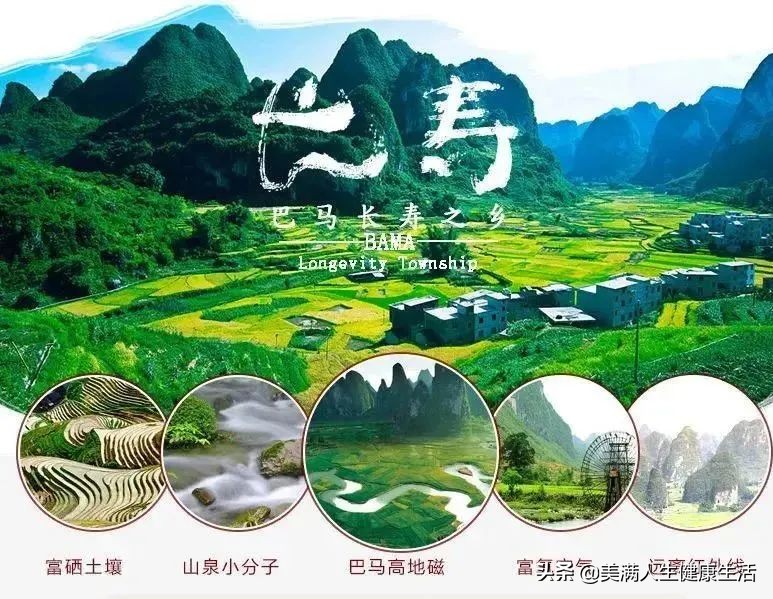 巴马火麻油的食用方法,巴马火麻仁火麻油