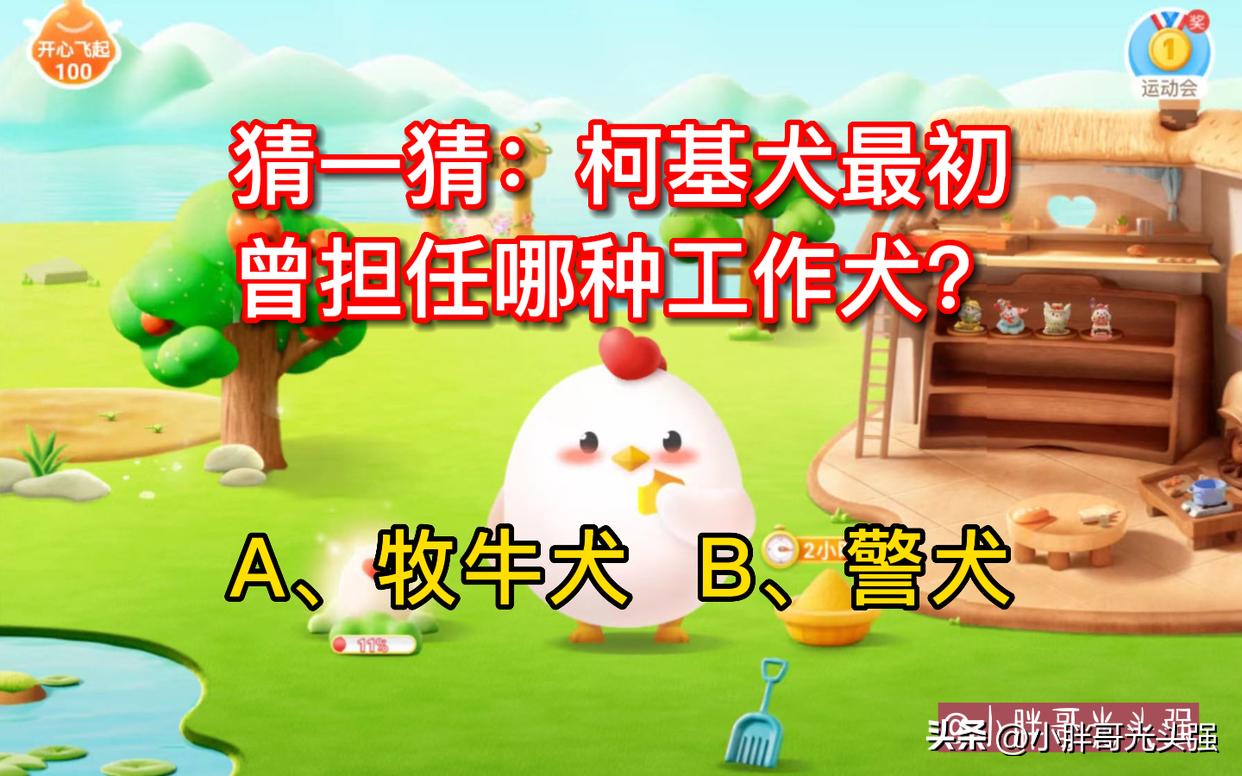 猜一猜：柯基犬最初曾担任哪种工作犬？蚂蚁庄园小知识