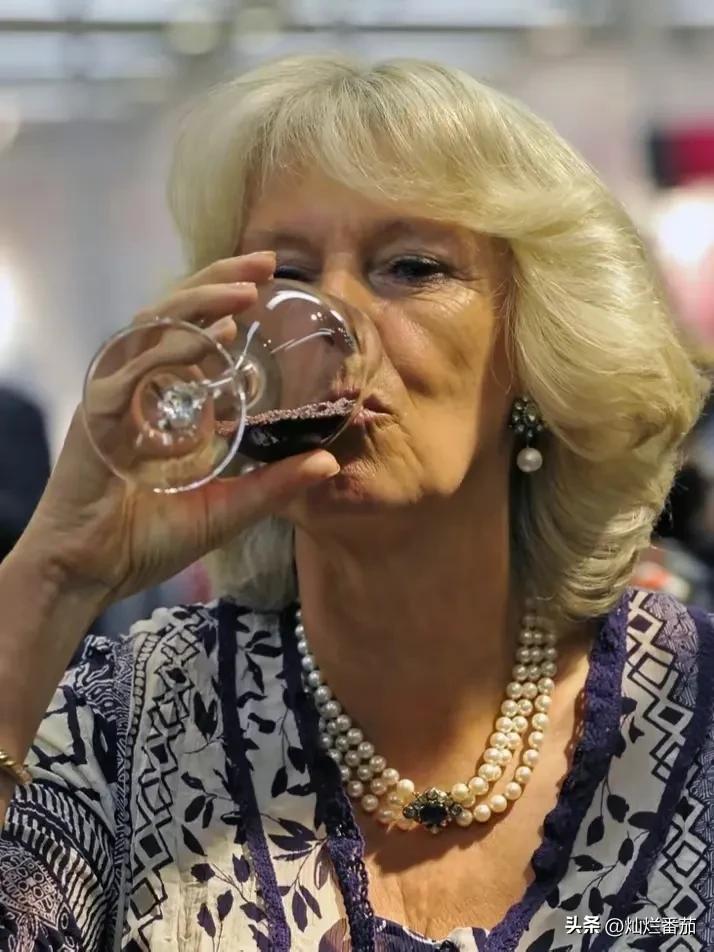 梅根与哈里王子相爱的经过,梅根与哈里王子近况