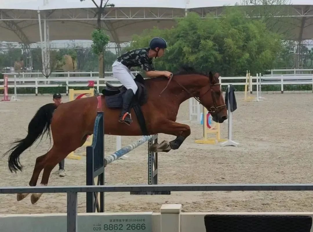 西安翻译学院选课推荐,西安翻译学院学生上课