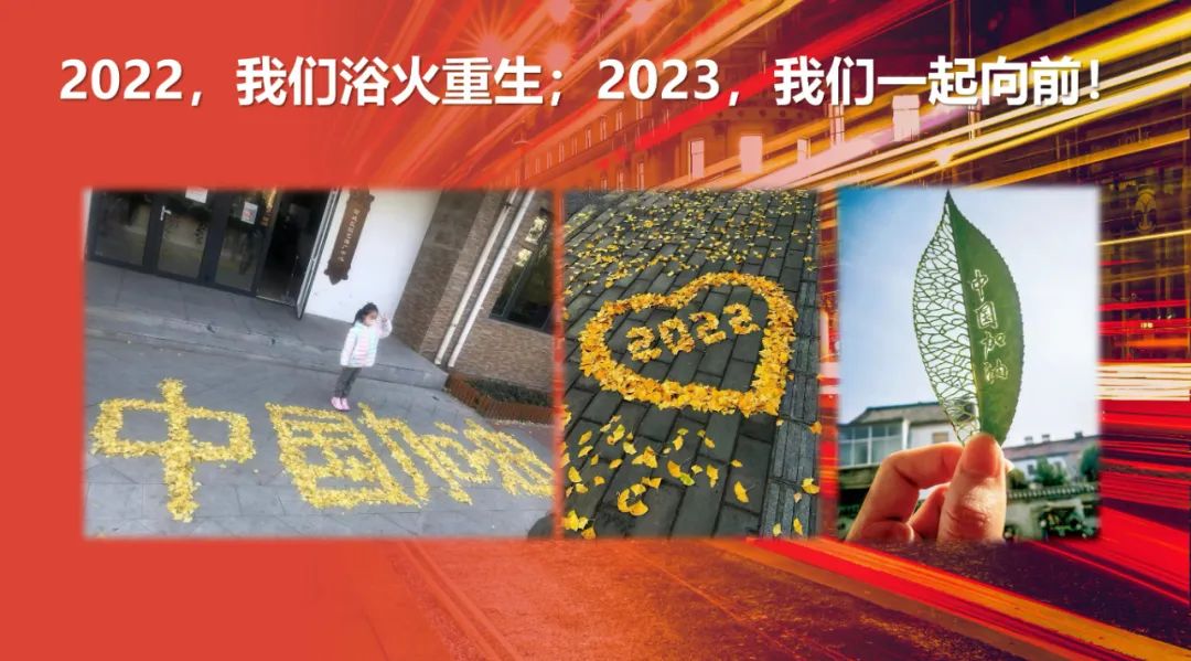 崔燕帧最新视频,崔燕振讲话视频