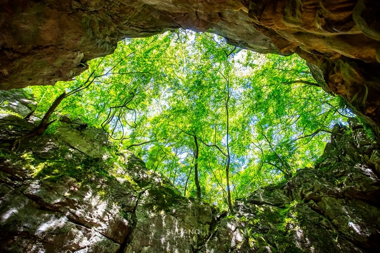 武汉历史上最悠久的地方,武汉历史底蕴
