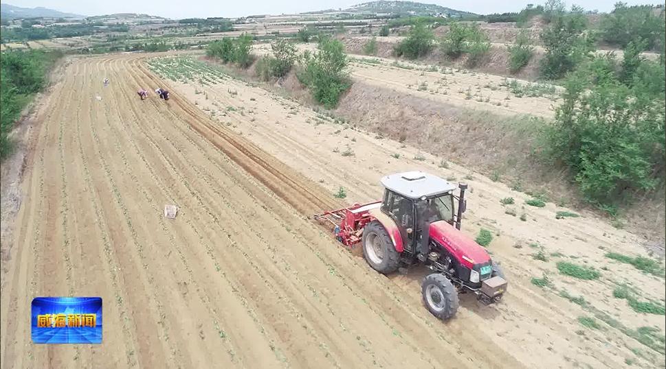 荣成乡村振兴样板,荣成乡村振兴示范区