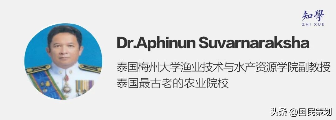 泰国清迈有什么好项目,泰国清迈旅行项目