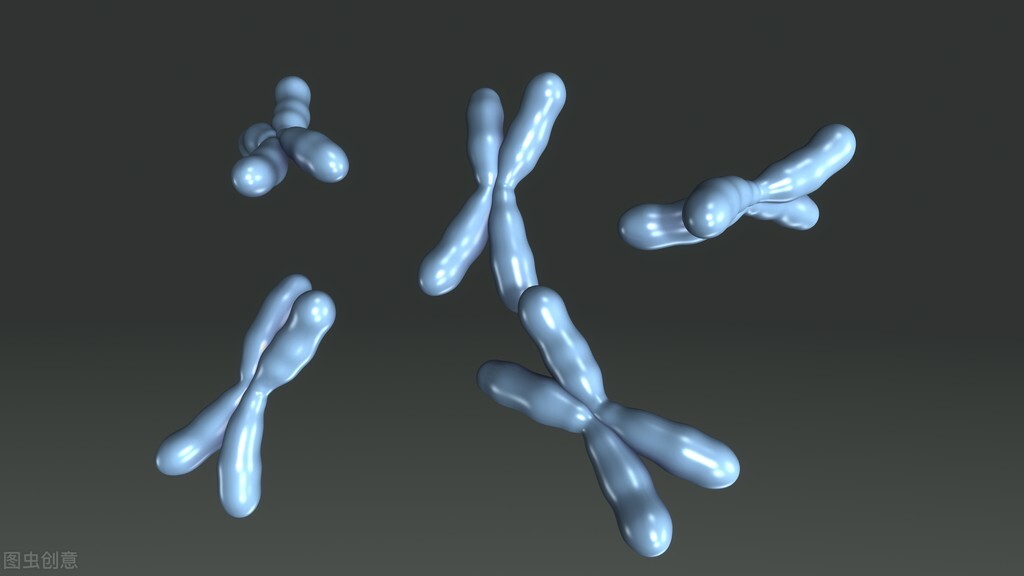 先兆流产和习惯性流产是什么意思,女人流产是不是很痛苦习惯性流产