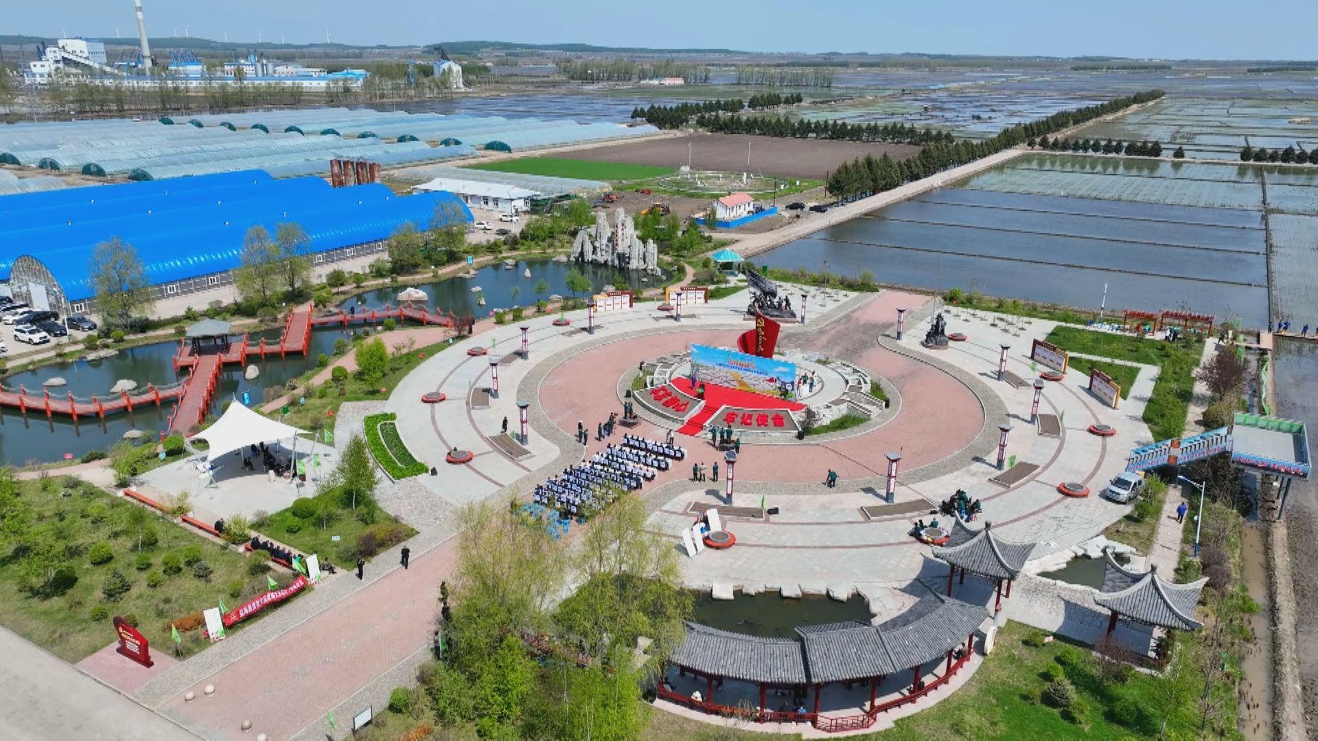 虎林春耕,黑龙江虎林春耕