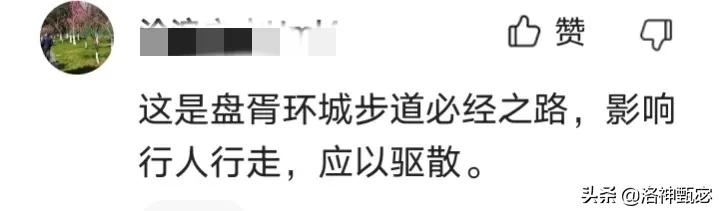 苏州新市桥露天跳舞，舞客为何趋之若鹜？