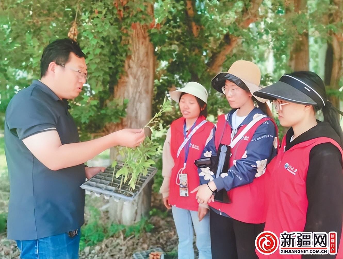 农业大学乡村振兴,新疆农业大学学习新思想