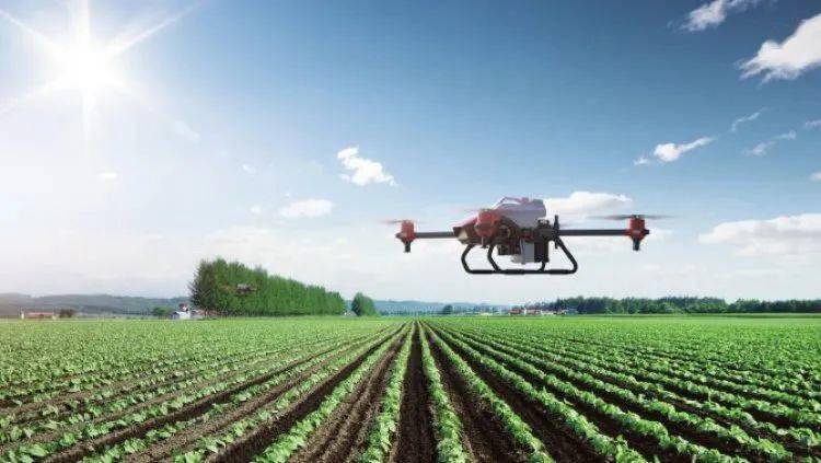 美国近期和中国的最新消息,美国有进行粮食制裁吗