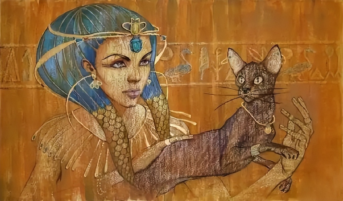 太香？太臭？猫咪排泄物的入药黑历史！