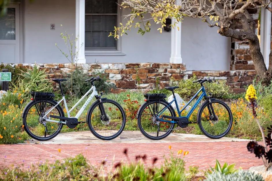 荷兰电动自行车 (在荷兰骑自行车)