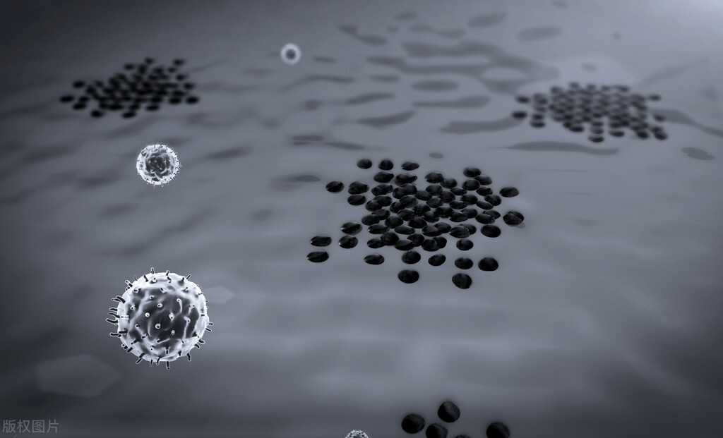 一文教会你看懂血检报告