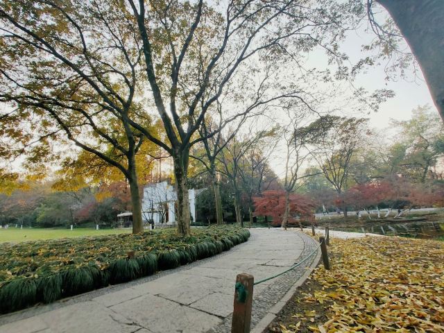 杭州周边赏秋好去处,杭州赏秋最佳攻略