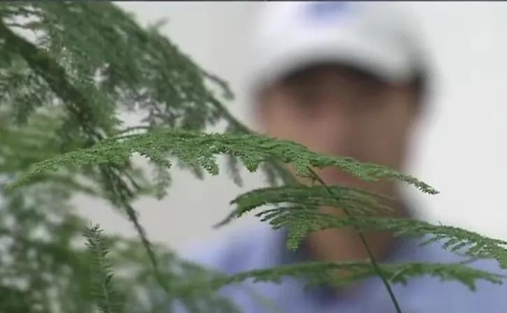 花季少女被杀抛尸逃13年,18岁少女被杀惨遭抛尸破案