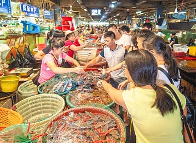 中国海鲜产地哪里最好,全国海鲜产地排名前十