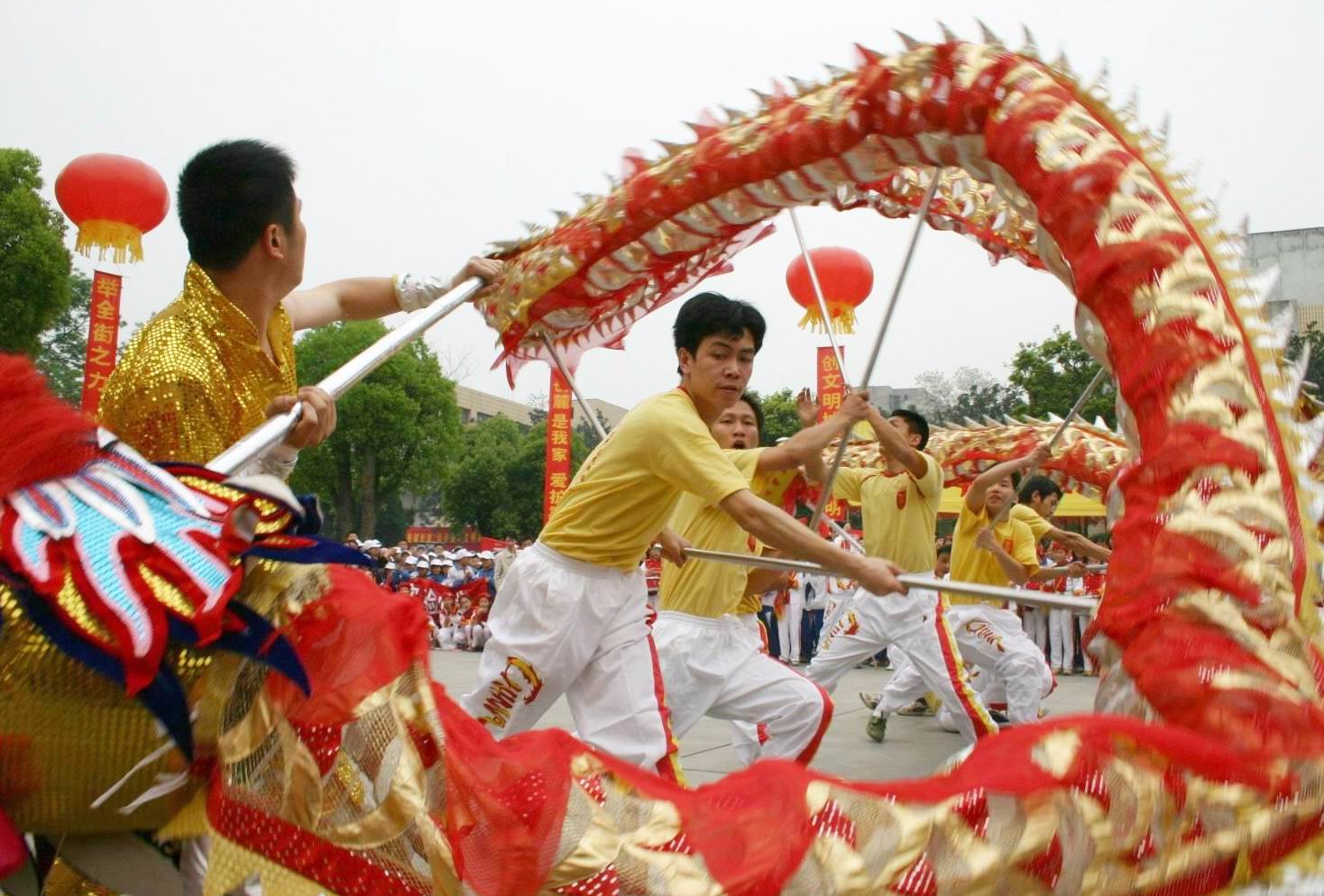 #新年献礼#:岁月如歌开创万医康养康多多代购消费新局面