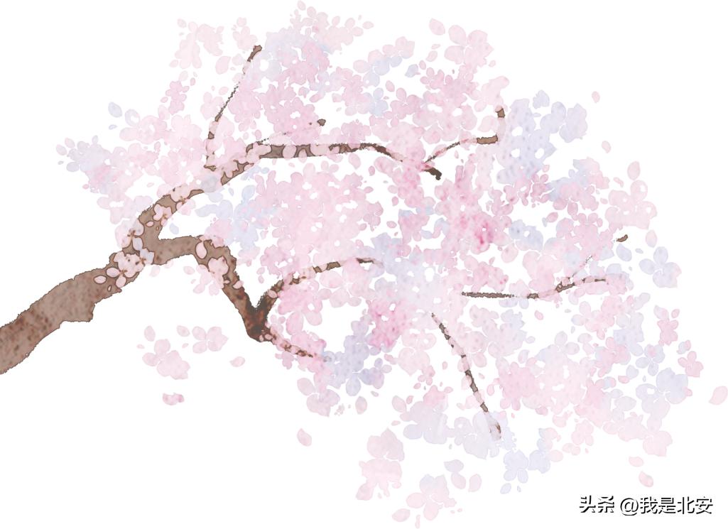 七夕节的由来与发展,传统节日七夕节的由来