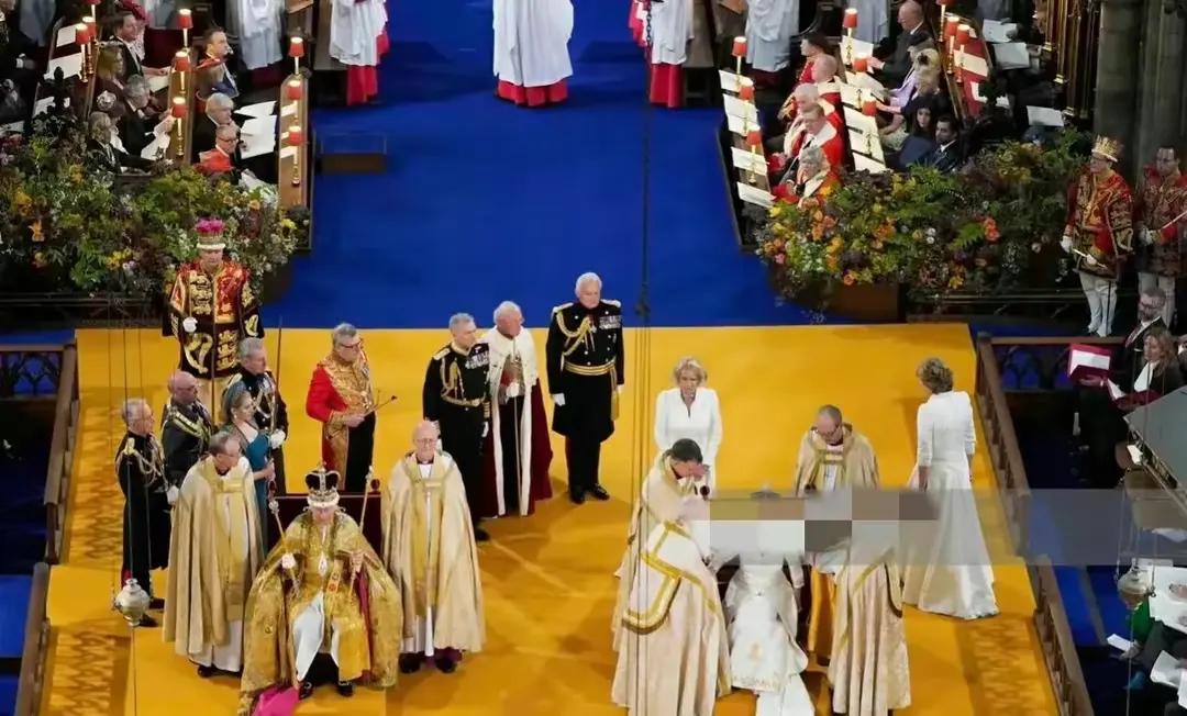 漫画讽刺查尔斯,英国讽刺漫画查尔斯解读