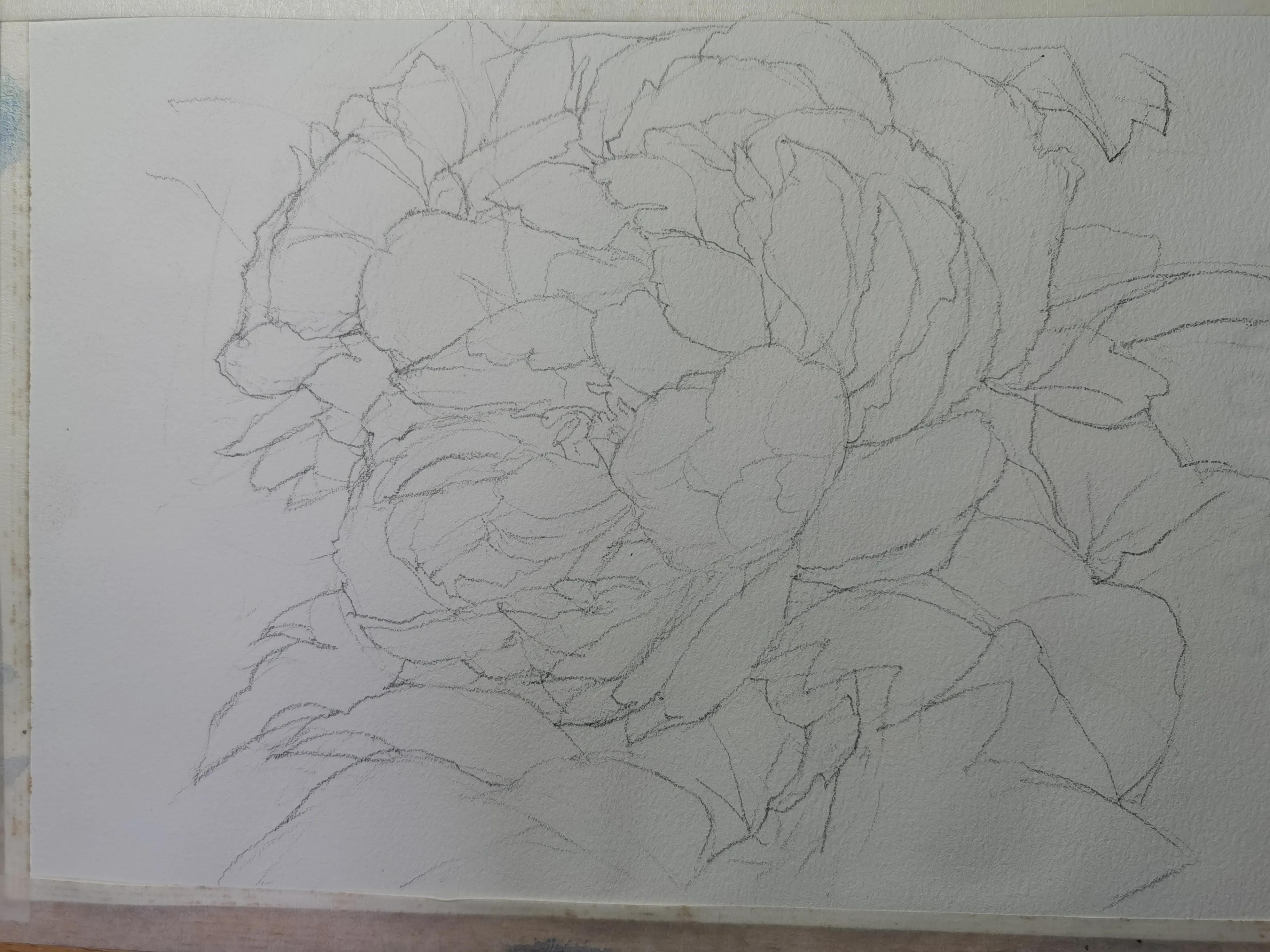 画怎样准确造型,画侧面的两种方法