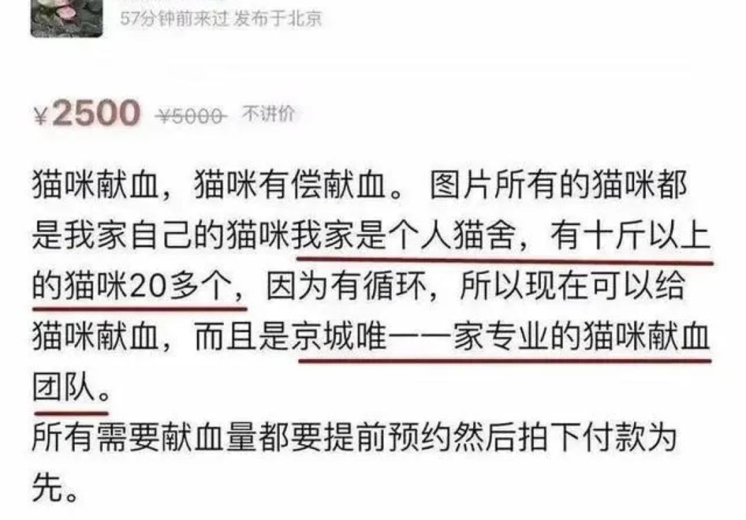 她惨死却热搜下架，你们满意了？