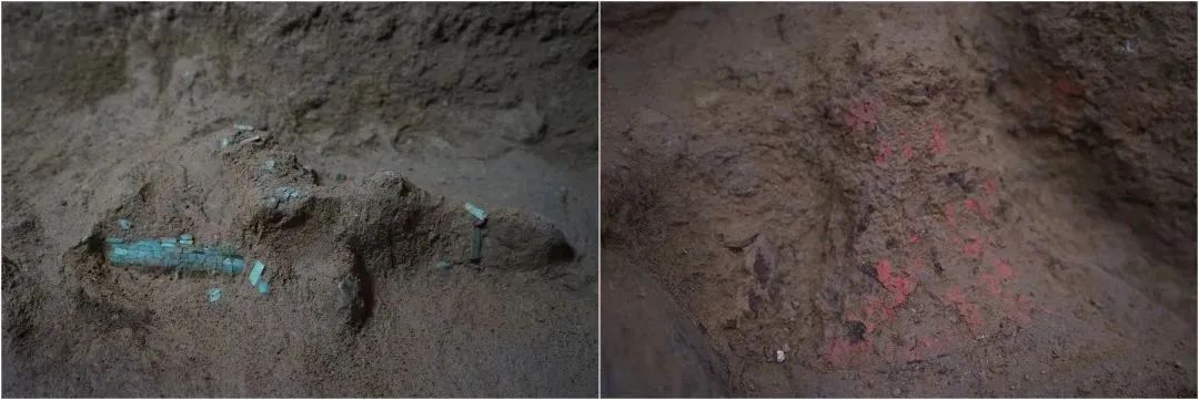 西吴壁遗址发掘时间,西吴壁遗址出土