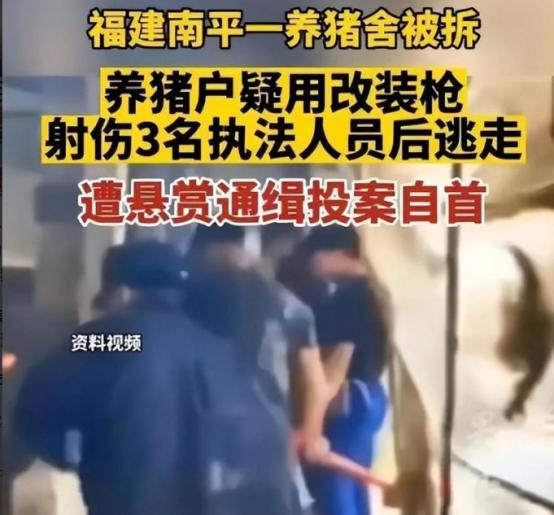 养猪场被强拆事件后续,强拆猪圈卢某后续