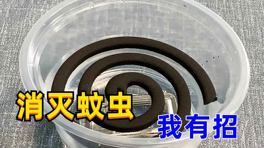 蚊香断了先别扔！放进水中泡一泡，解决生活大烦恼，真厉害