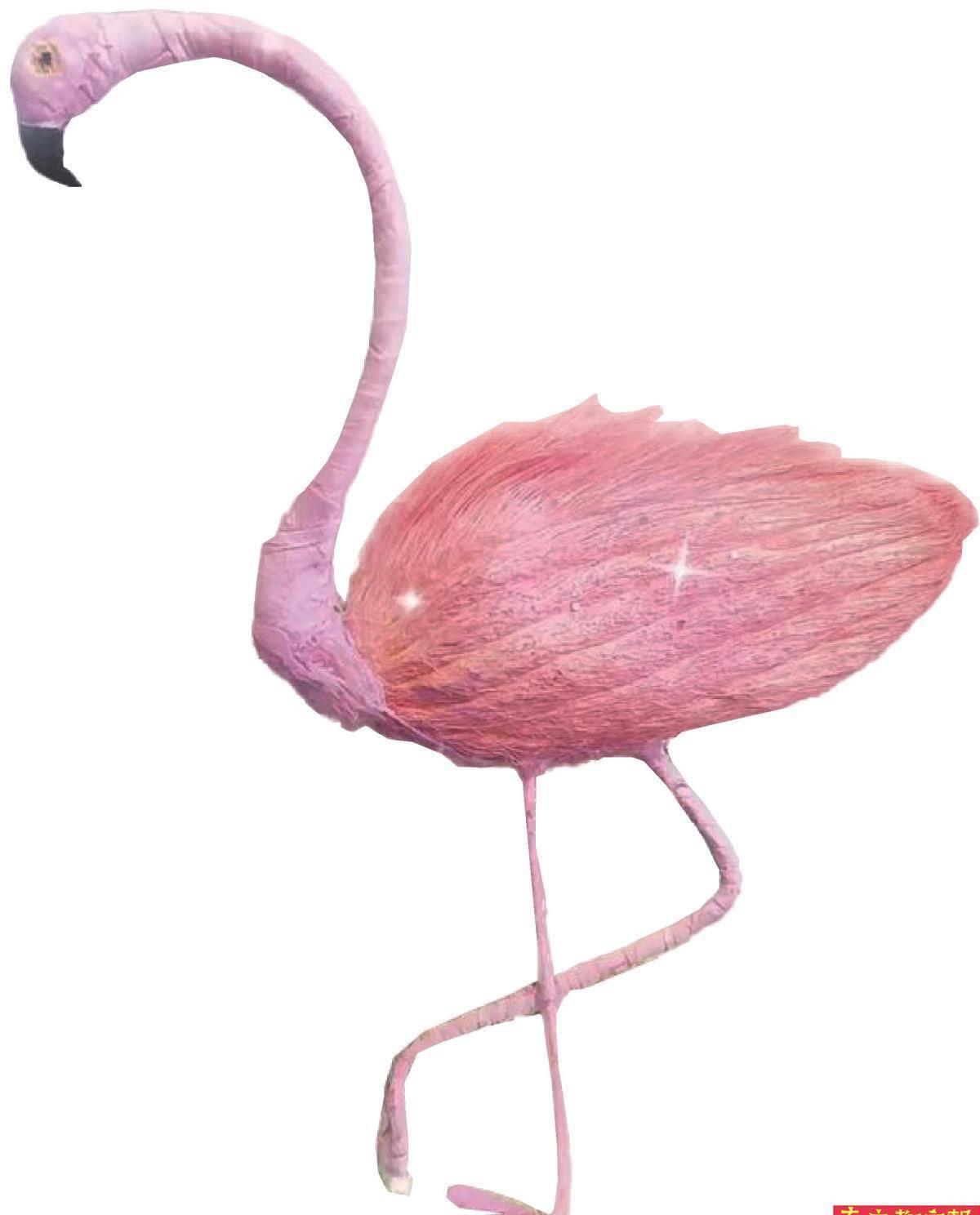 养芒果和当宠物,为什么养芒果核当宠物