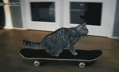 经典沙雕搞笑对话语录,最沙雕的幽默语录