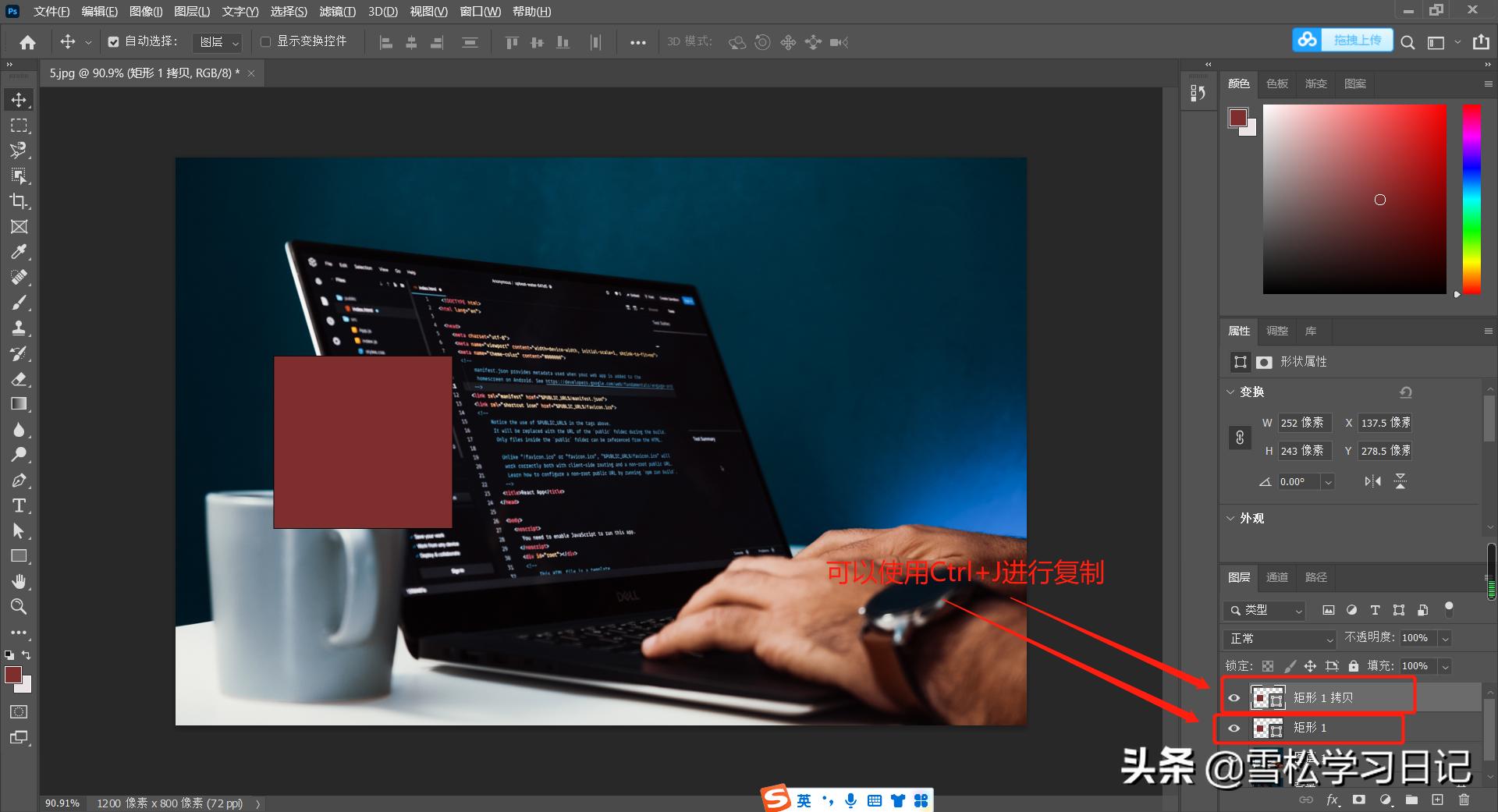 ps图层入门教程零基础,ps入门教程掌握图层的基本操作
