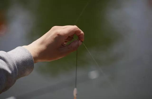 有鱼无口是什么情况,有鱼没口用什么饵料