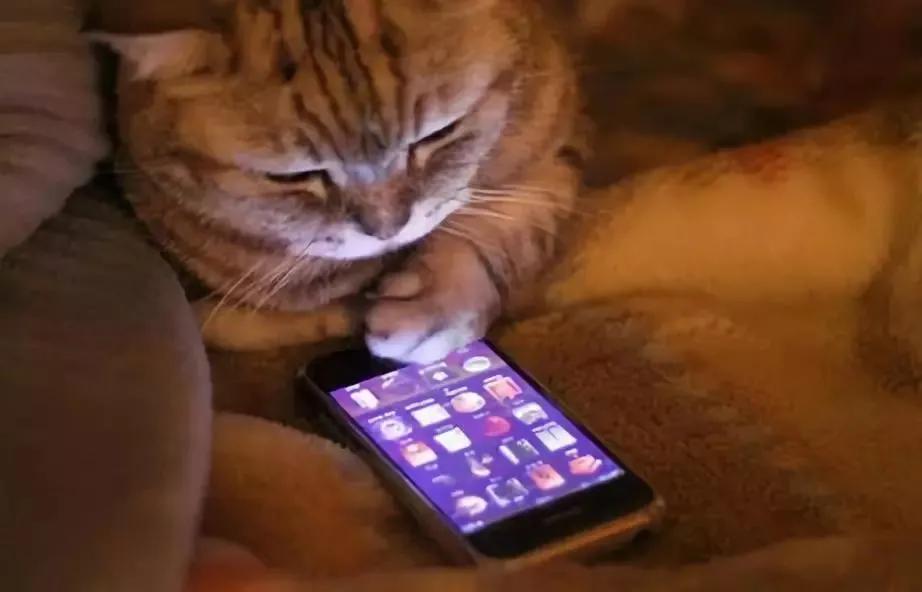 不要让手机危害孩子,不要让手机成为孩子的亲密伙伴