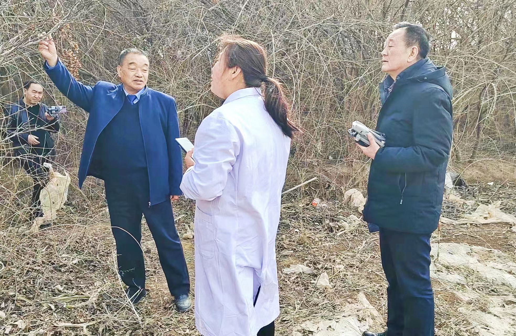 庆城麻红霞,麻红霞老师