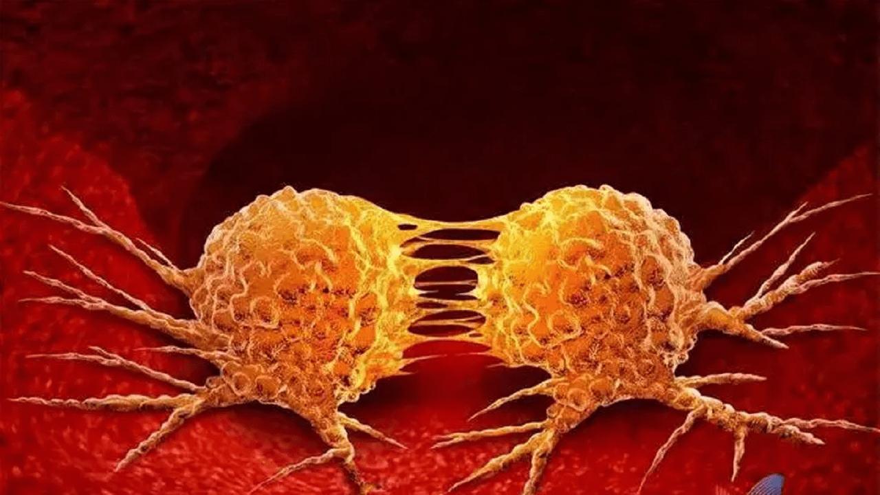 身上的小肉球是否和hpv有关,身上长小肉揪预示感染了hpv病毒