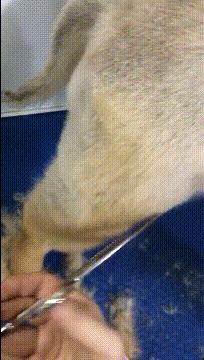 女代驾花了1800多,叫了个女代驾花了1800元