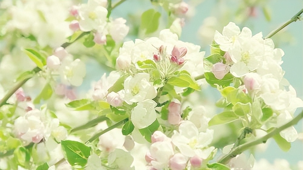 三月的优美诗句现代诗,三月春光十首诗词