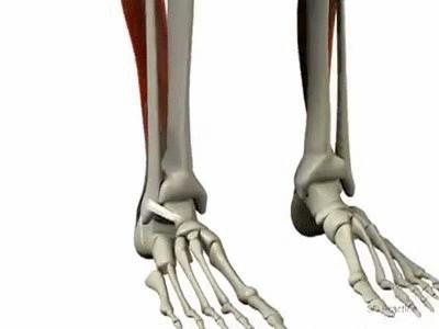 鞋子磨脚怎么办教你如何轻松解决,鞋子太紧磨脚