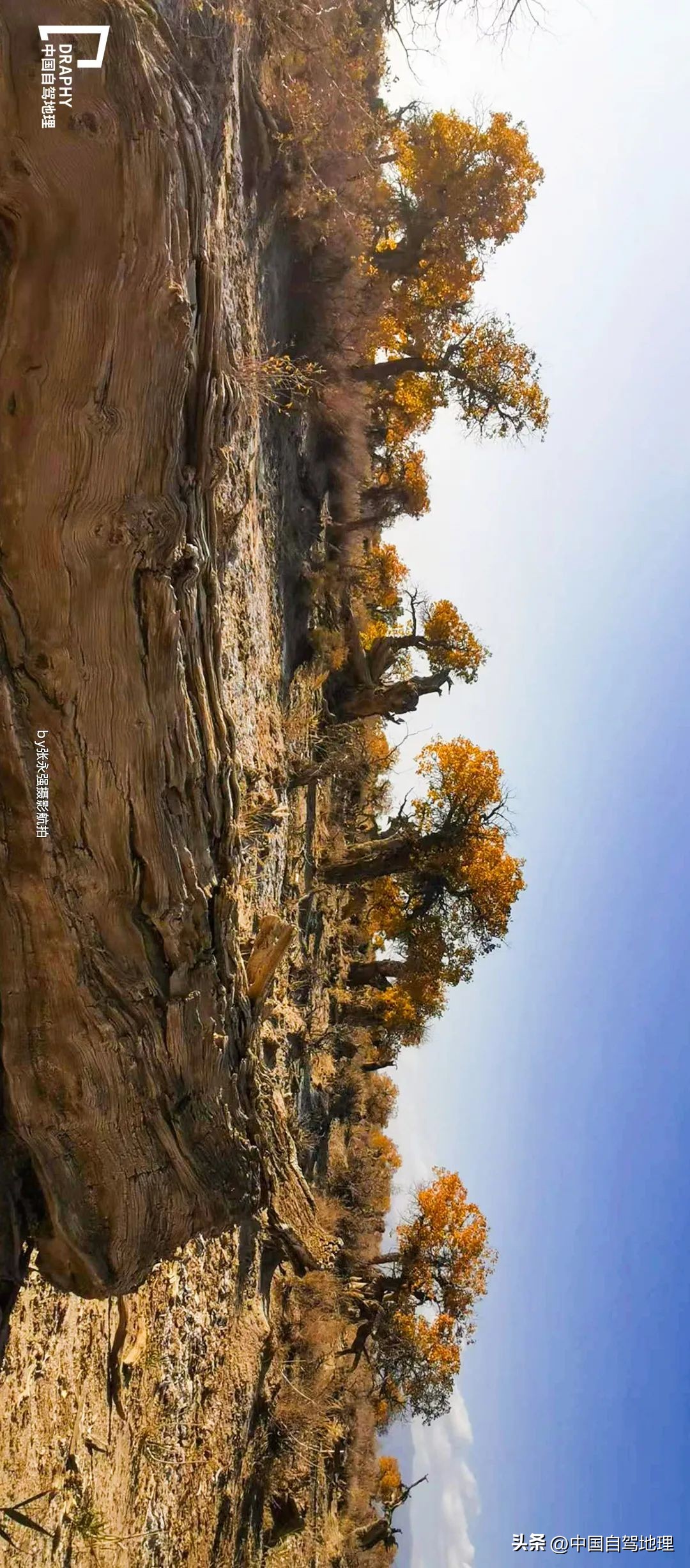 横跨中国北境的孤勇者之路，接力G219，荒芜与惊喜并存！