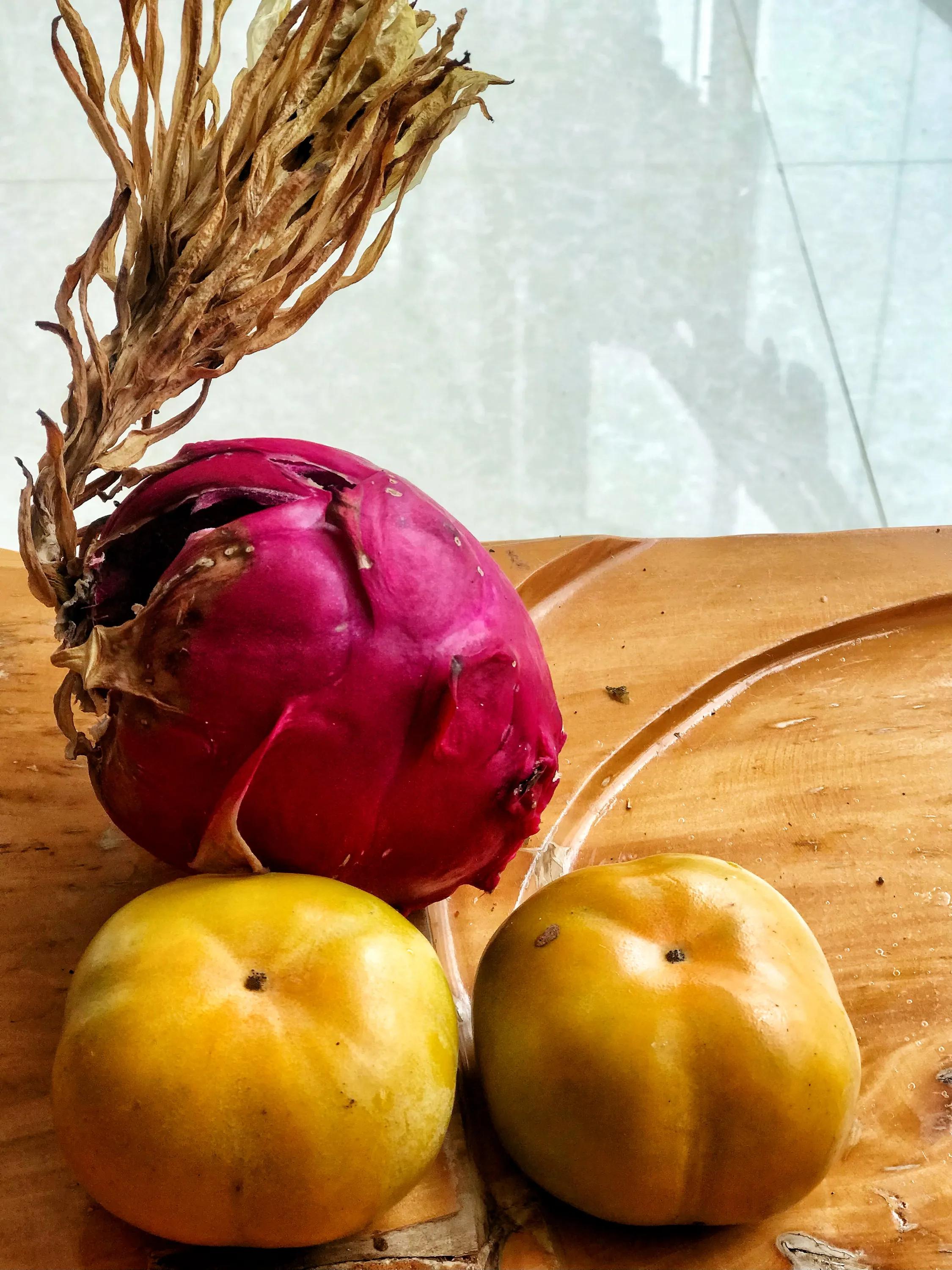 阳台火龙果怎样长出果来,阳台种火龙果的方法