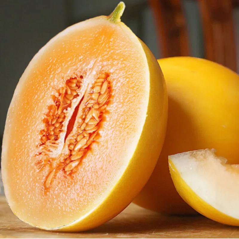 垂涎欲滴的瓜世界：瓜田李下说吃瓜，一片冰心香满园