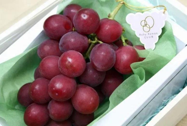 全世界最贵的6种水果,全世界最贵的六种水果