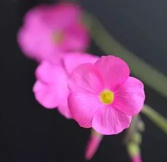 我想你了怎么办呀,我想你了怎么办高情商回答