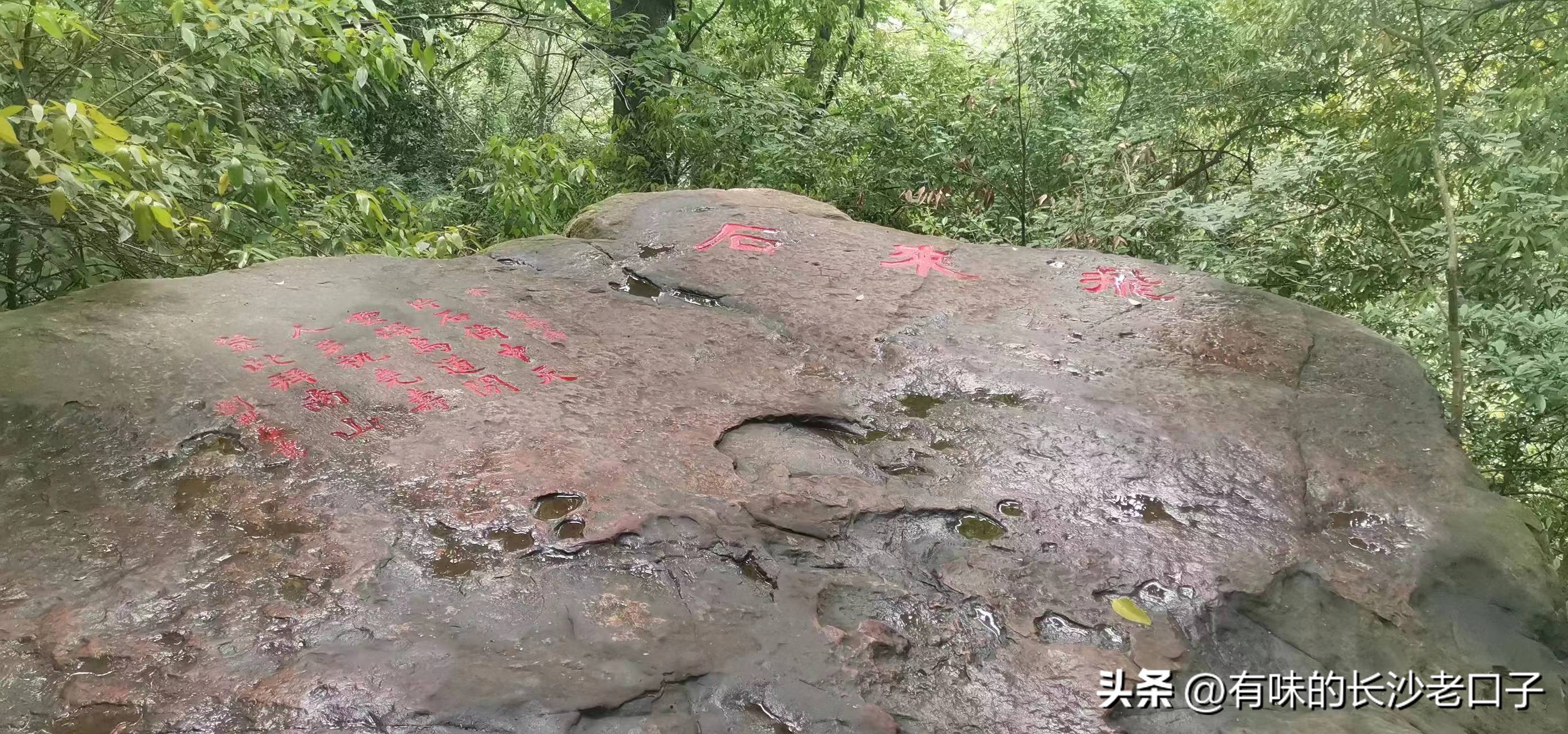 岳麓山的云麓宫能看到日出吗,岳麓山云麓宫地图