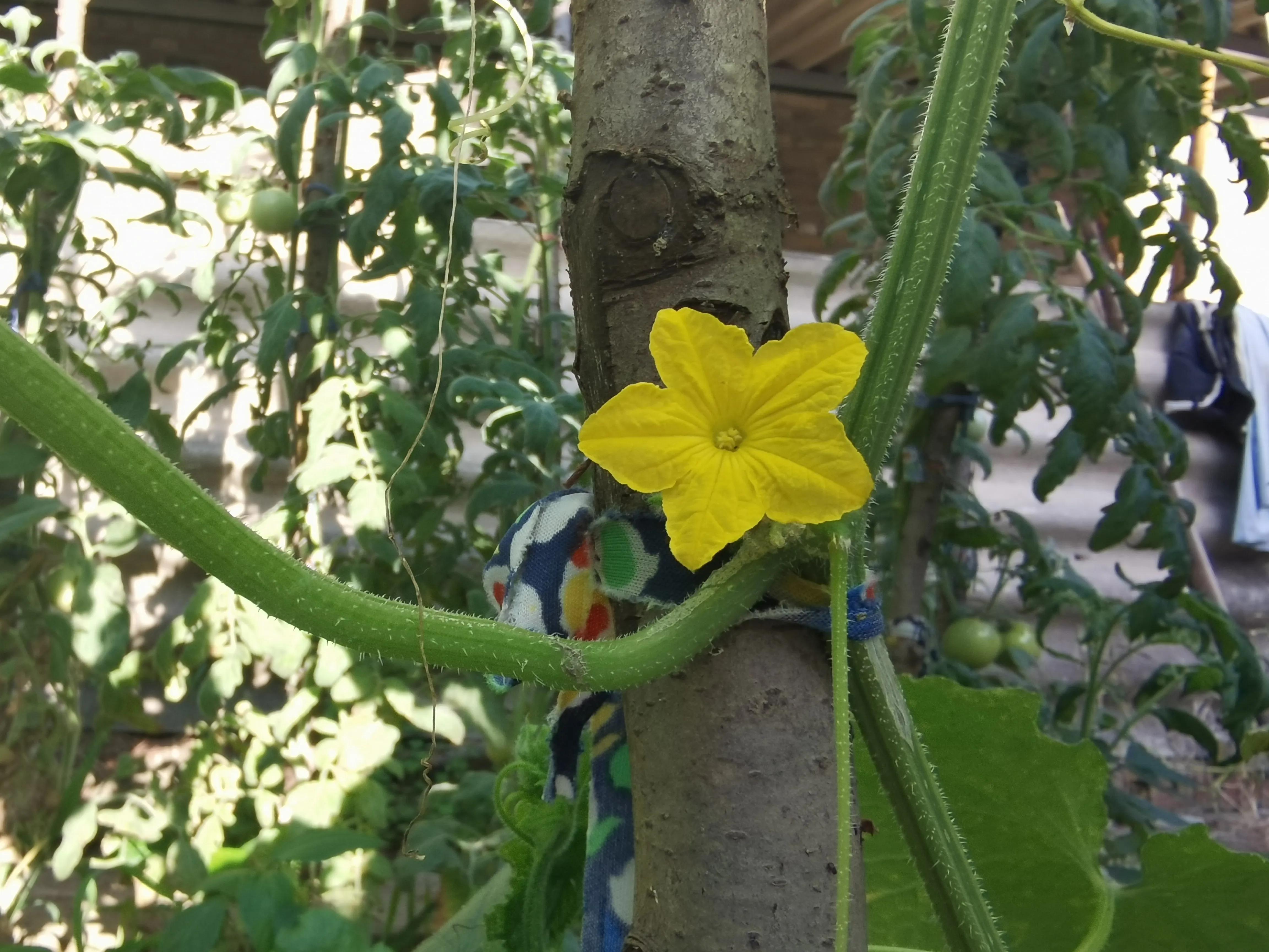 不是亲姐妹胜似亲姐妹,不是亲姐妹胜似亲姐妹的句子