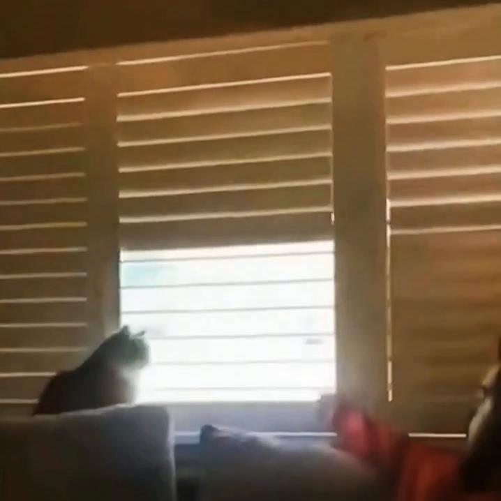 DOU+小助手视频,dou+小助手流量包