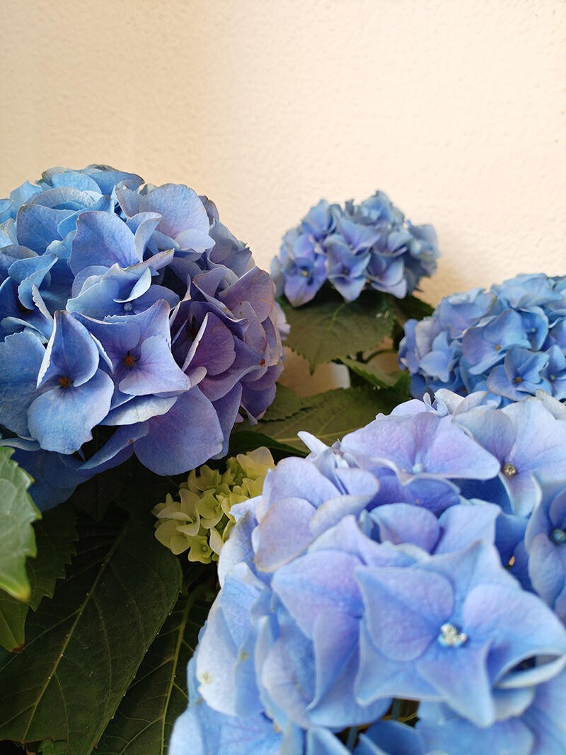 续航可达100公里的电池,华为巨鲸电池52度能续航多少公里