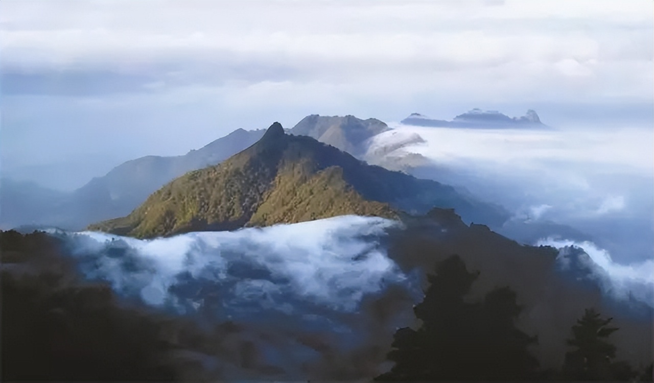 不会吧!不会吧!不会还有人不知道宝天曼吧?