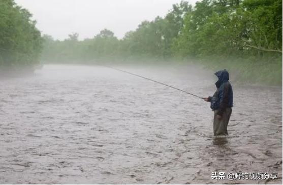 夏季野钓，雨天就是“爆护天”！但有“3不钓”，否则空军已注定