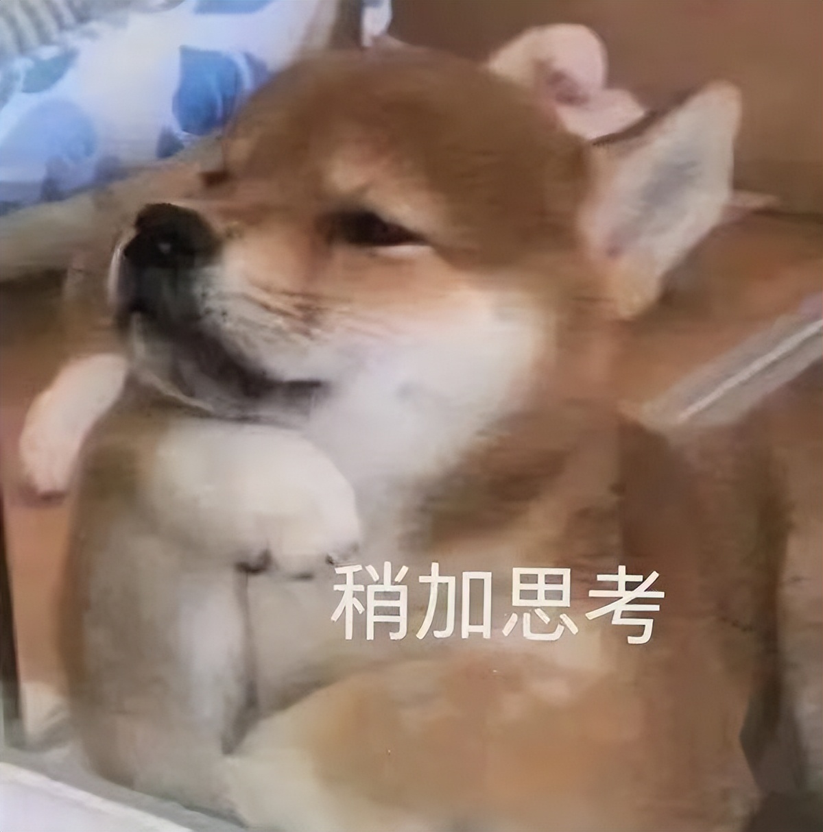 老婆说假话的表现,老婆说谎话是出轨迹象吗