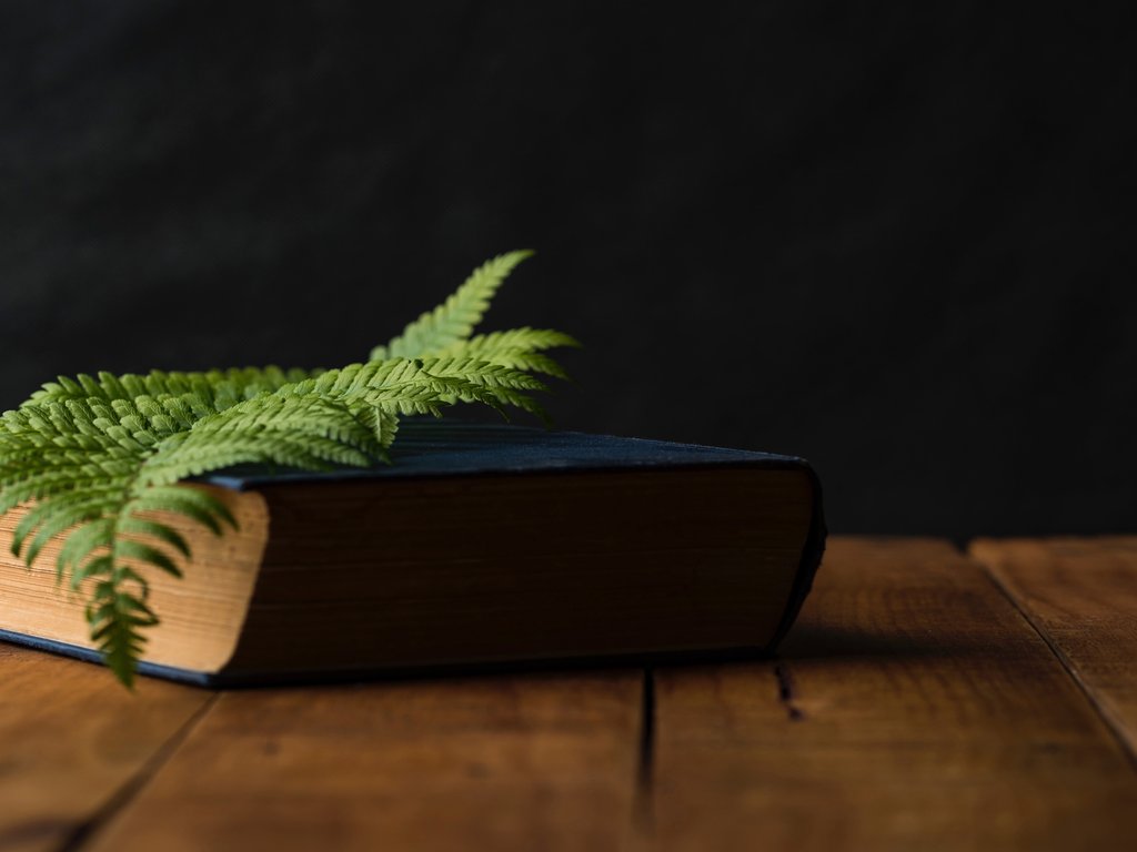 有三种说话方式，暗示着一个人“看不起你”